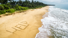 Strand Help Palmen Foto iStock Scaliger.jpg